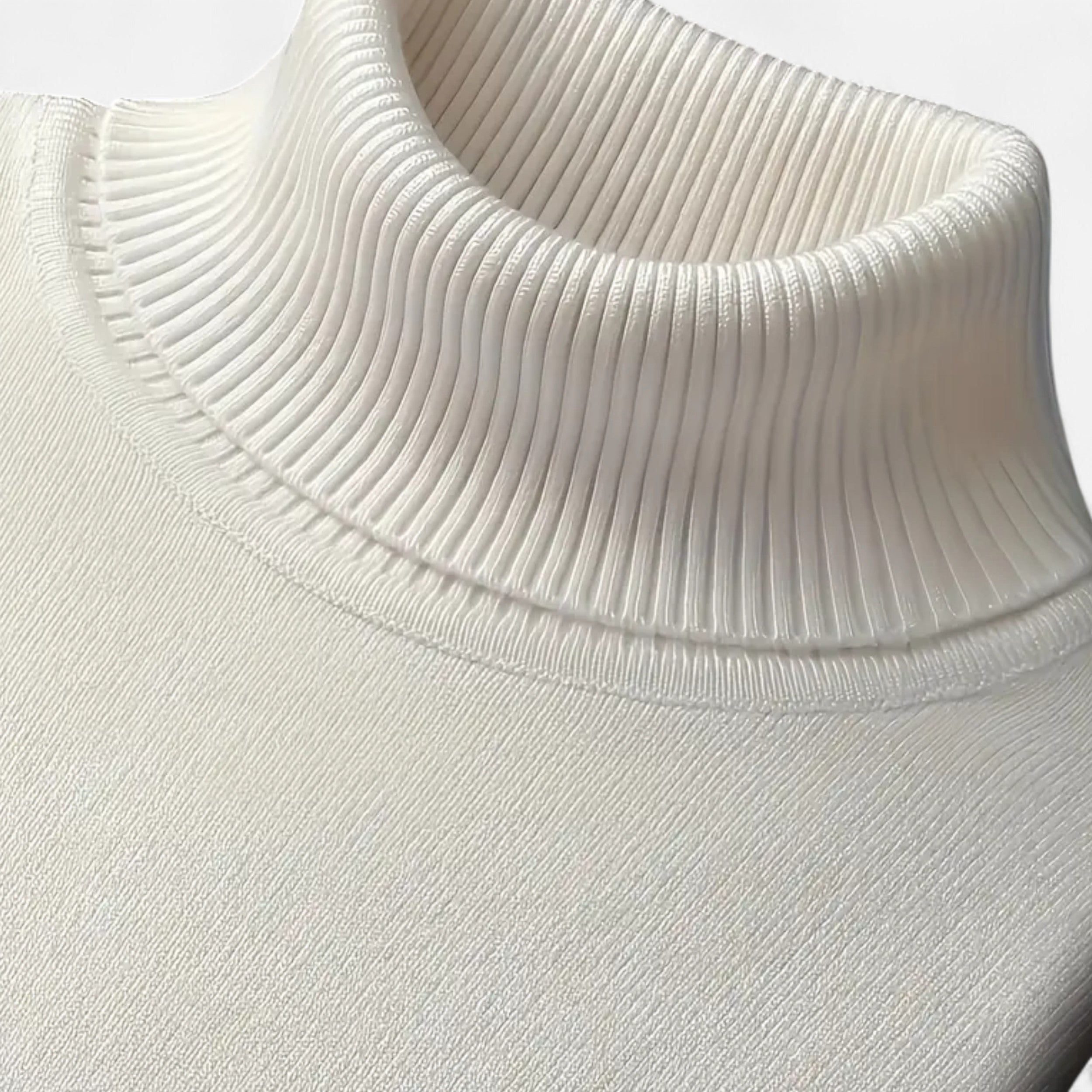 Lanemont's Boutique | Men’s Turtleneck Sweater