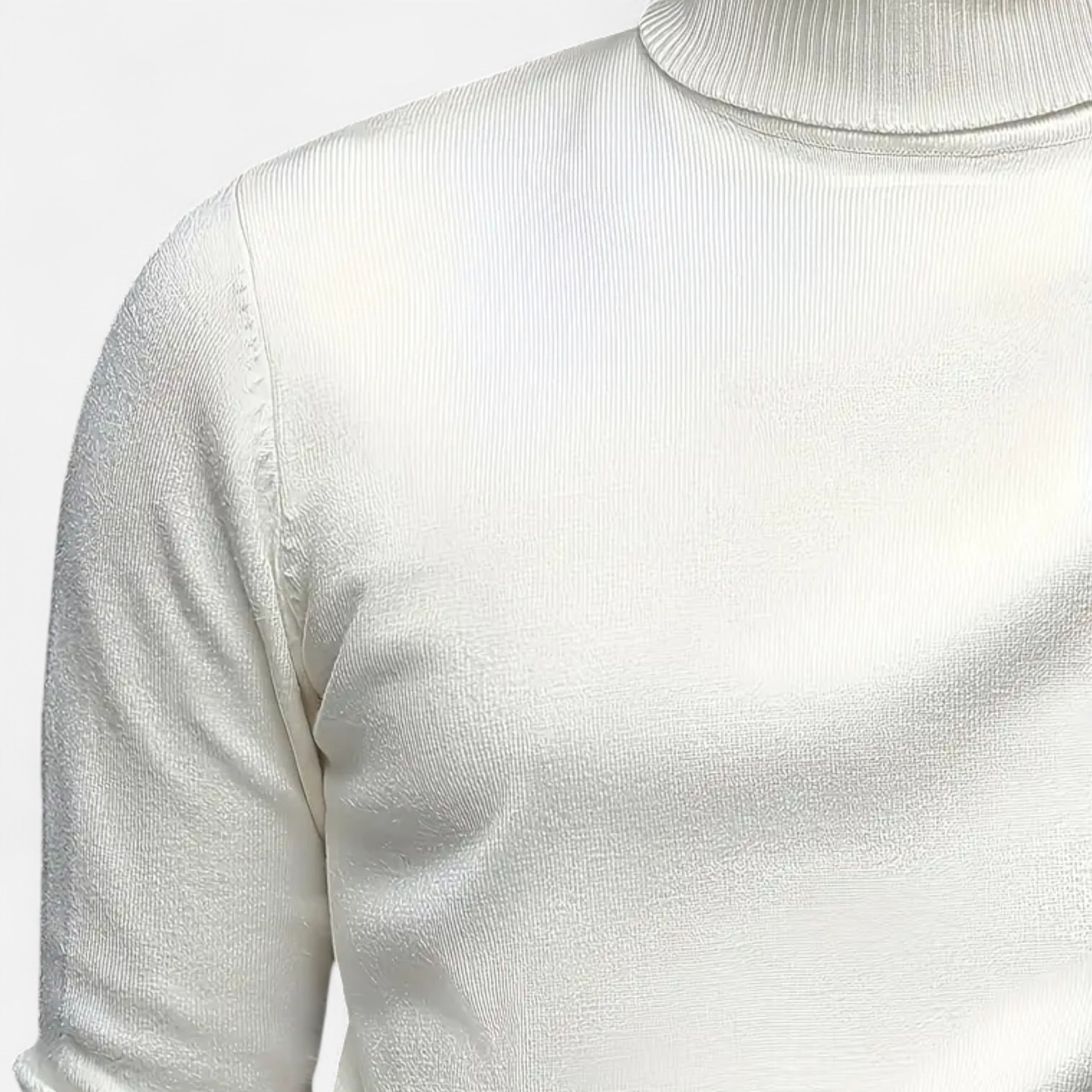 Lanemont's Boutique | Men’s Turtleneck Sweater