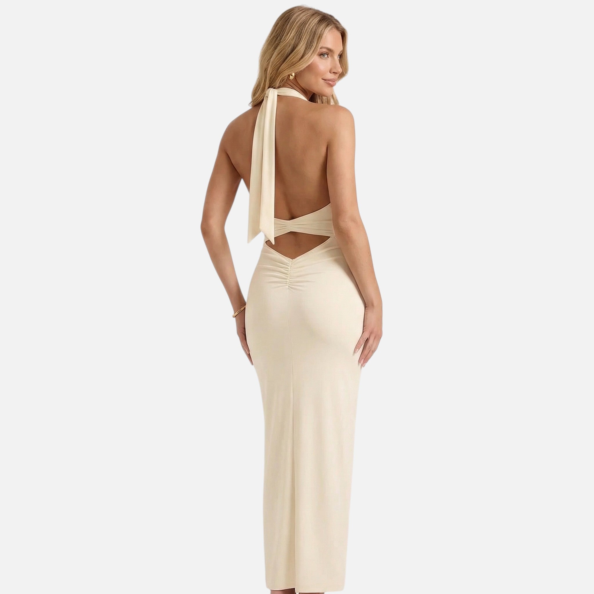 Lanemont's Boutique | Women's Maxi Dress with Deep V Neckline